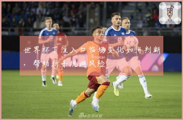 世界杯下注入口临场变化如何判断,帮助新手规避风险