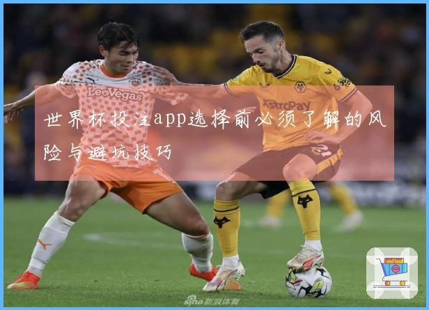 世界杯投注app选择前必须了解的风险与避坑技巧
