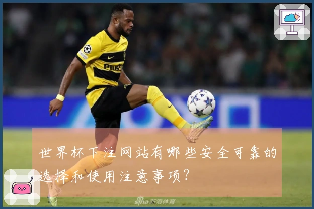 世界杯下注网站有哪些安全可靠的选择和使用注意事项?