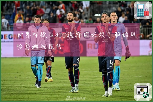 世界杯投注app选择前必须了解的风险与避坑技巧