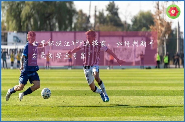世界杯投注APP选择前，如何判断平台是否安全可靠？
