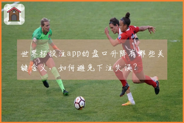 世界杯投注app的盘口升降有哪些关键含义，如何避免下注失误？